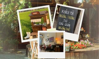 Vi vu cà phê vừa chữa lành vừa hài hước: "Hồng trà thì có, Hồng tỉ thì không!"