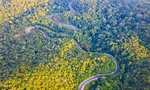 Hơn 2 tháng 4 vụ tai nạn, đèo B40 ở Lâm Đồng xuất hiện nhiều 'điểm đen' giao thông