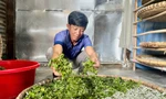 Der Beruf hilft vielen Haushalten in Lam Dong, der Armut nachhaltig zu entkommen.