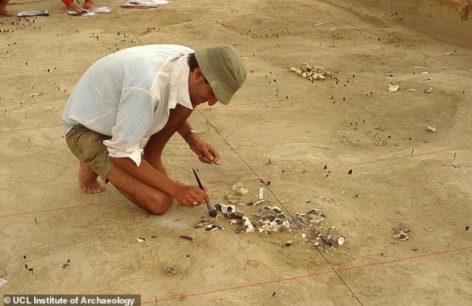 'Lò mổ' ngựa tiết lộ bí mật của loài người tuyệt chủng ảnh 2