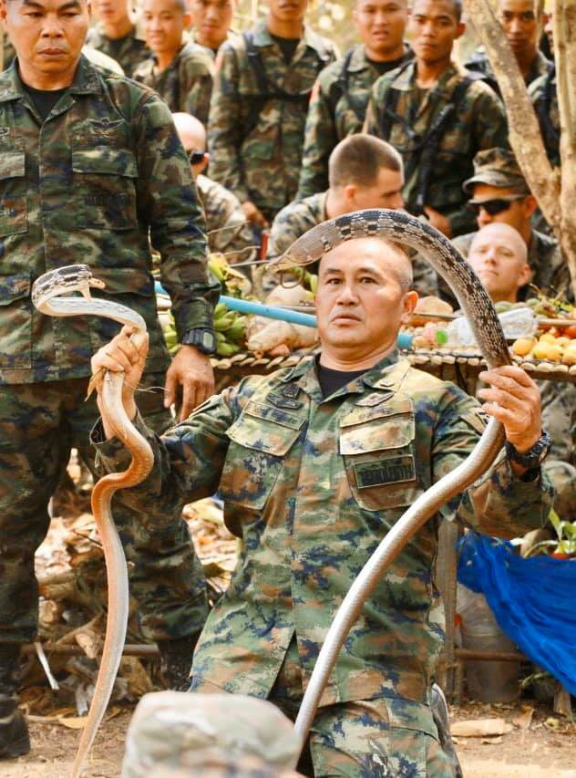 Tập trận Hổ Mang Vàng: Binh sĩ luyện ăn nhện, uống máu rắn ảnh 2