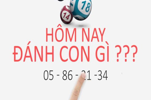 Quy trình xử lý nước ở Nhật Bản: Bất ngờ nước đóng chai từ vòi sinh hoạt ảnh 19