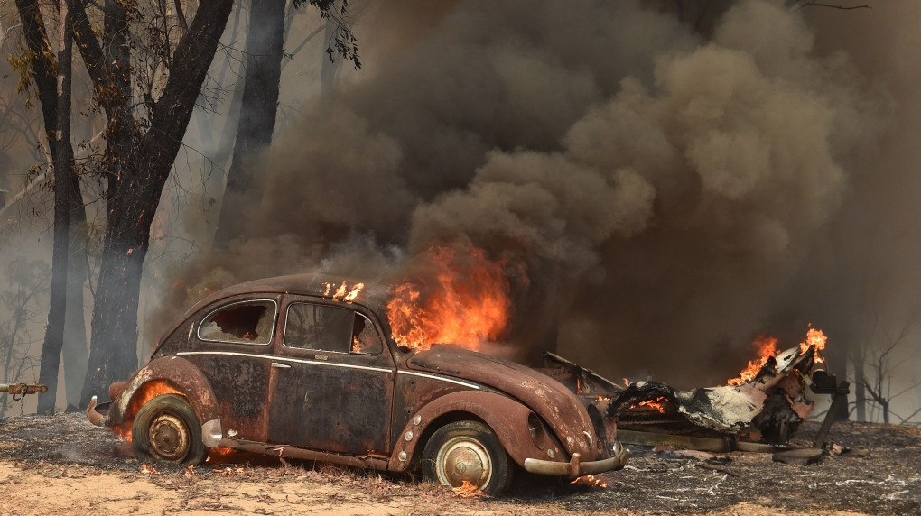 Gần nửa tỷ động vật có vú, chim và bò sát chết thảm trong vụ cháy rừng ở Úc ảnh 1