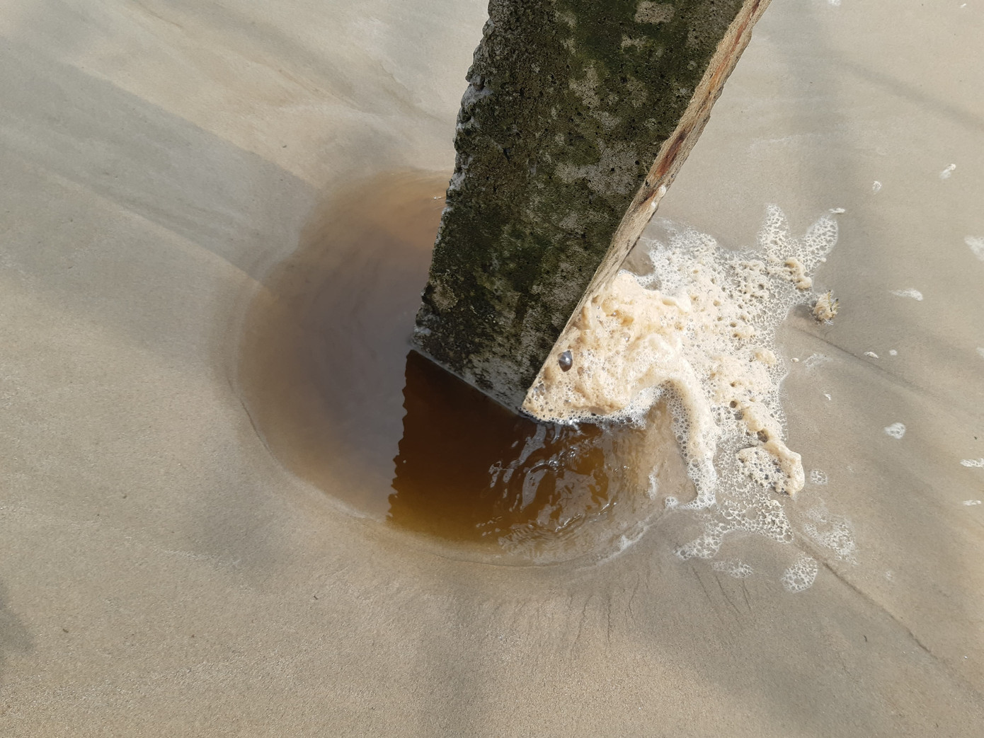 Nước biển đổi màu lạ, nổi bọt vàng bất thường ở Quảng Ngãi ảnh 4