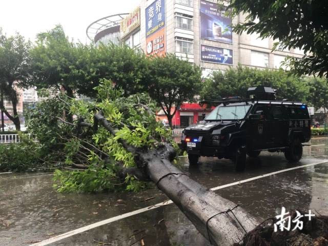 Bão Higos giật cấp 12 càn quét miền nam Trung Quốc ảnh 7