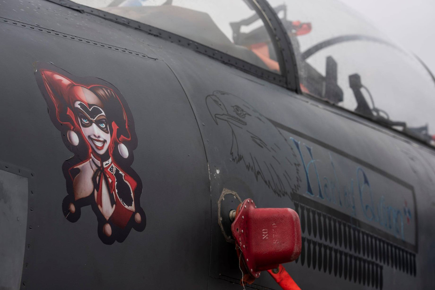 Xem dàn tiêm kích F-15E 'phiên bản Halloween' của Không quân Hoàng gia Anh ảnh 11