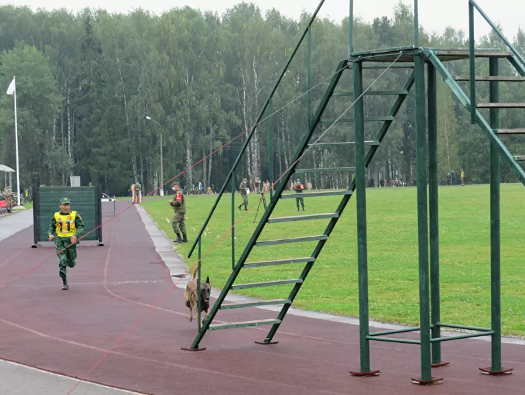 Chó nghiệp vụ Việt Nam lần đầu tham gia 'Người bạn trung thành' tại ARMY-2020 ảnh 4