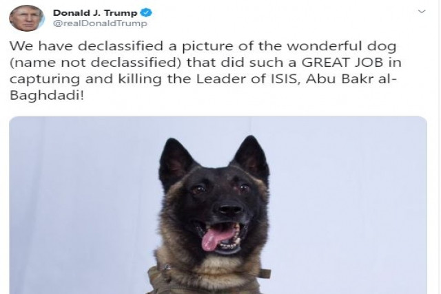 Quân đội Mỹ phát triển mũ bảo vệ tai cho chó nghiệp vụ ảnh 3