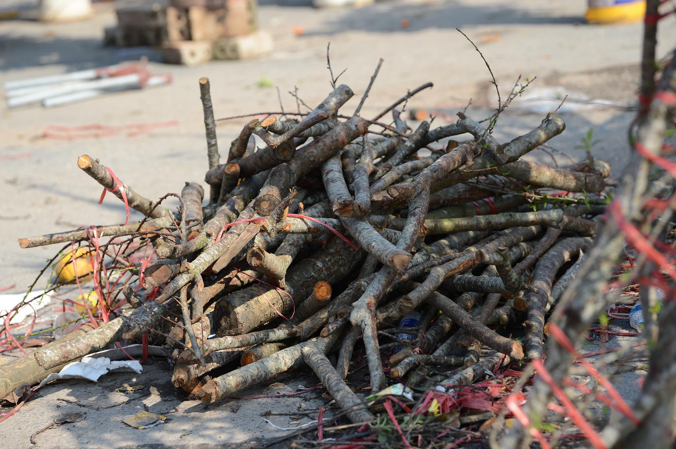 Chiều 30 Tết, đào rừng dán tem thành củi khô, quất bán 'đại hạ giá' ảnh 2