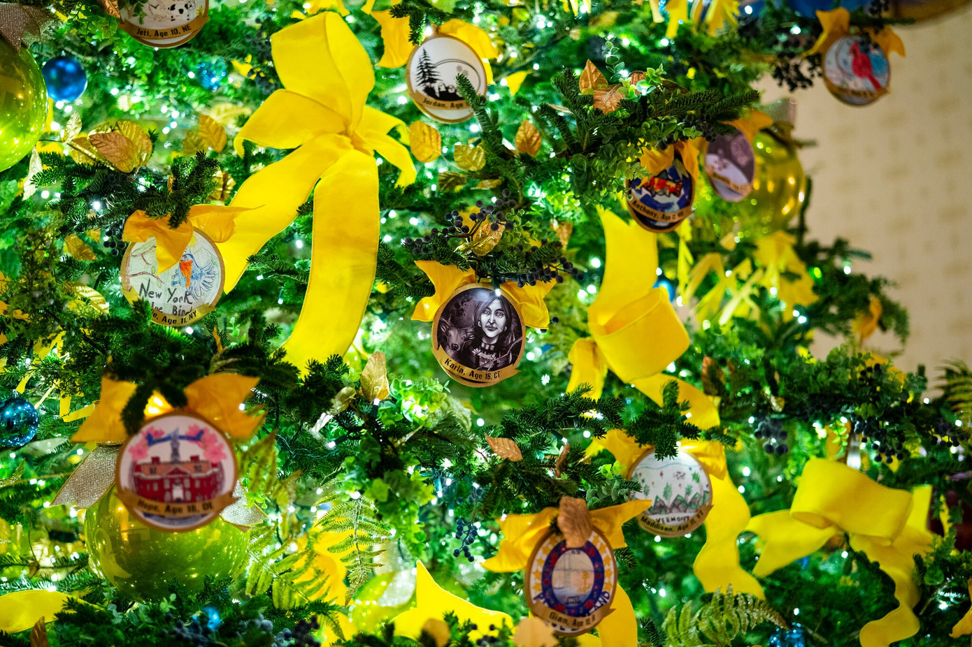 Nhà Trắng trang hoàng lộng lẫy đón Giáng sinh 2020 ảnh 4