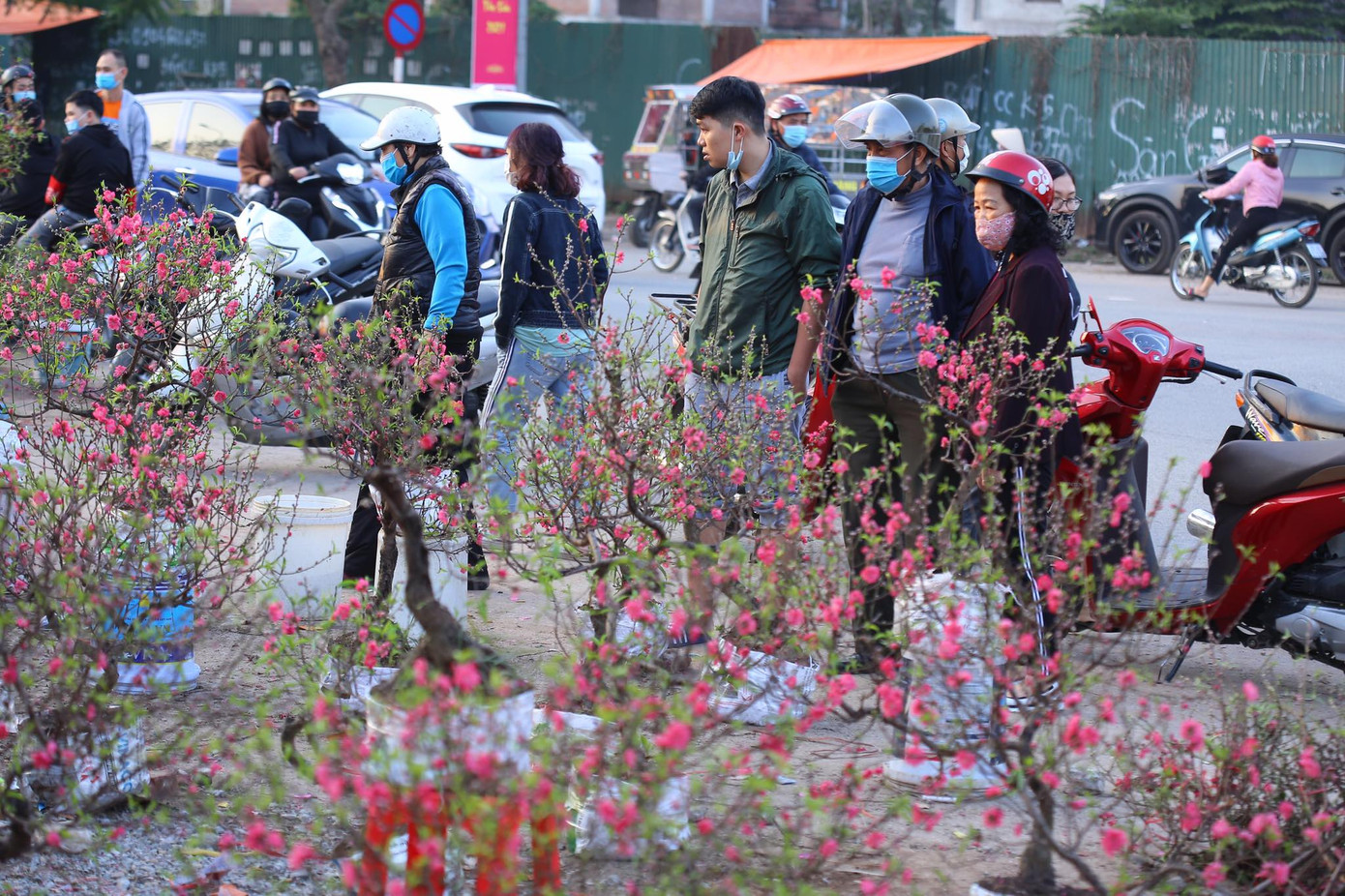 Chiều 30 Tết, đào rừng dán tem thành củi khô, quất bán 'đại hạ giá' ảnh 10