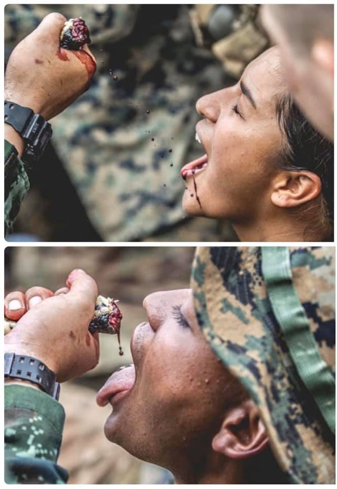 Tập trận Hổ Mang Vàng: Binh sĩ luyện ăn nhện, uống máu rắn ảnh 1