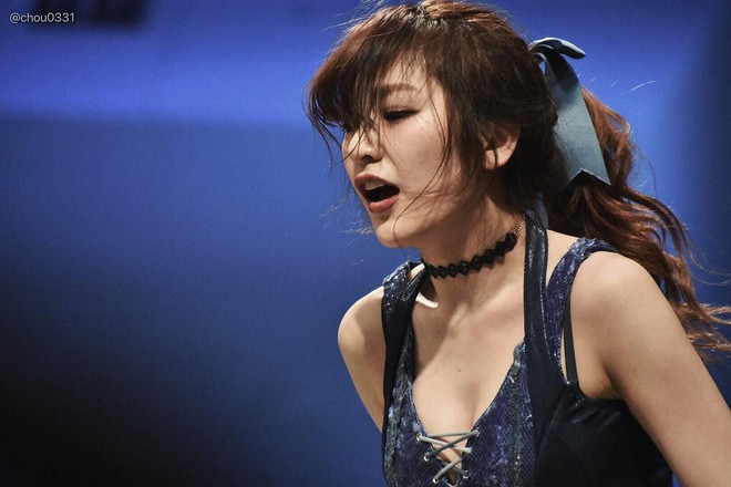 Nữ đô vật kiêm người mẫu nội y tại Nhật Bản ảnh 1