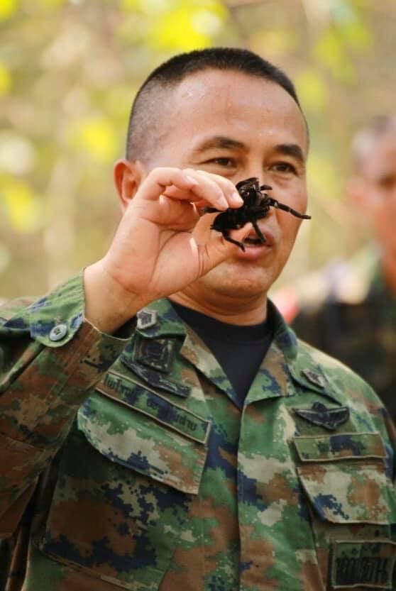 Tập trận Hổ Mang Vàng: Binh sĩ luyện ăn nhện, uống máu rắn ảnh 9