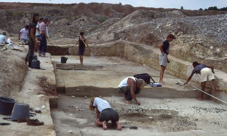 'Lò mổ' ngựa tiết lộ bí mật của loài người tuyệt chủng ảnh 1