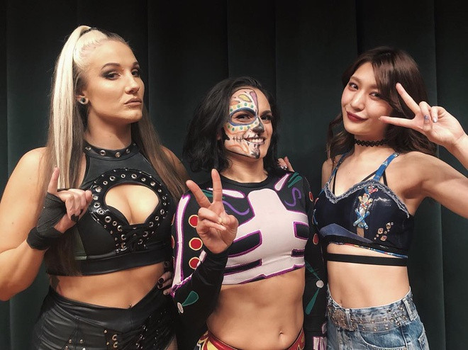 Nữ đô vật kiêm người mẫu nội y tại Nhật Bản ảnh 6