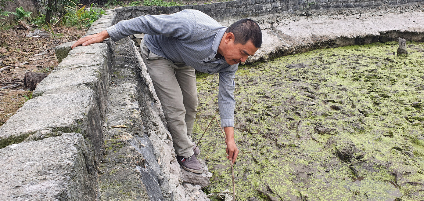 Cận cảnh bãi cọc nghi liên quan đến trận Bạch Đằng mới phát lộ ảnh 6