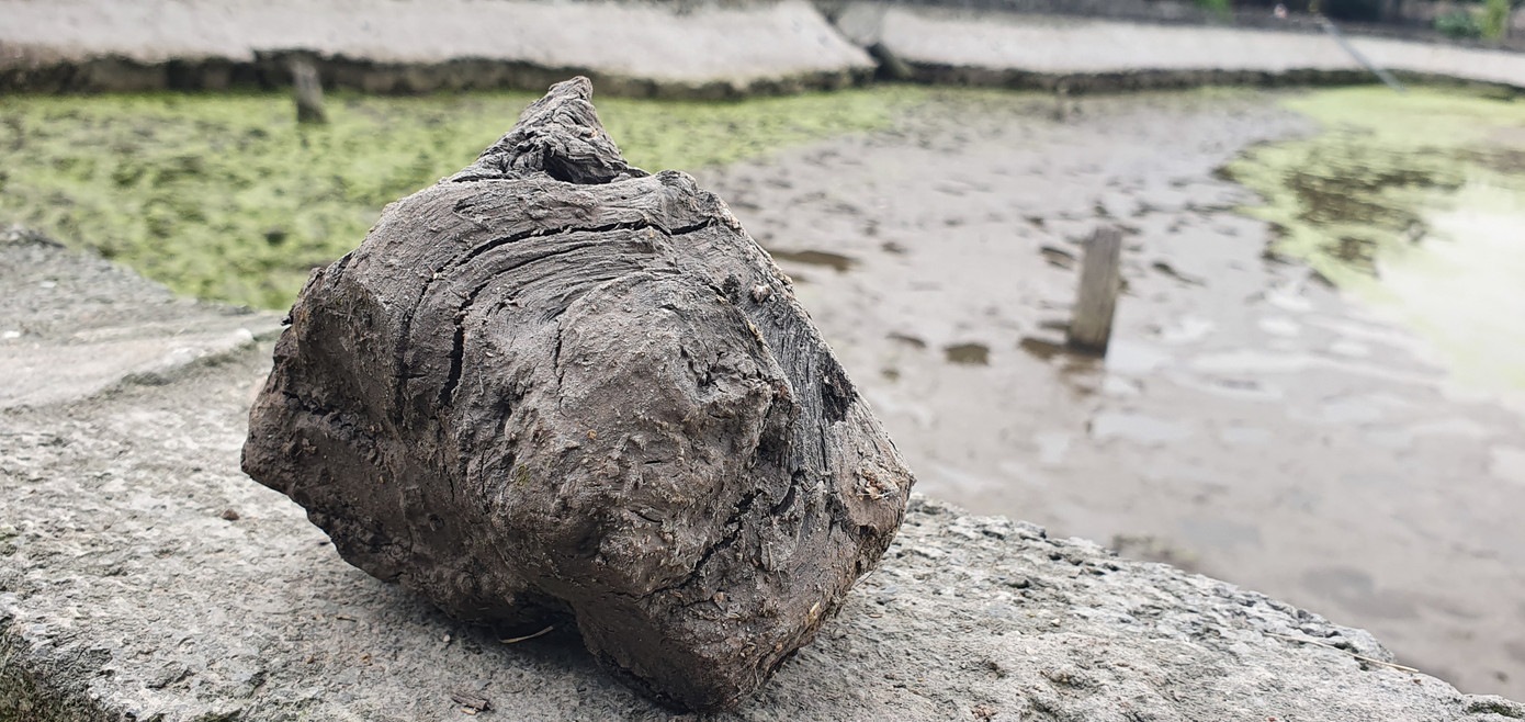 Cận cảnh bãi cọc nghi liên quan đến trận Bạch Đằng mới phát lộ ảnh 7