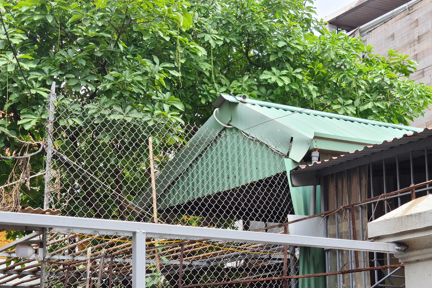 Nguồn gốc clip tố phụ huynh dàn dựng học sinh đứng nắng ở cổng trường ảnh 1