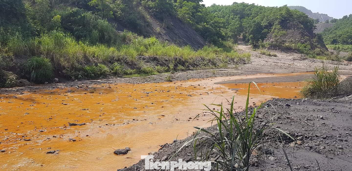 Vụ nước thải chứa kim loại đổ ra vịnh Hạ Long: Doanh nghiệp đổ lỗi Bộ Tài nguyên ảnh 2