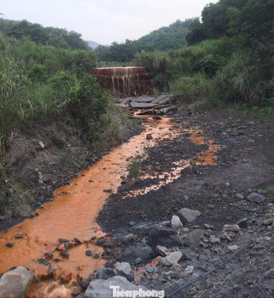 Vụ nước thải chứa kim loại đổ ra vịnh Hạ Long: Doanh nghiệp đổ lỗi Bộ Tài nguyên ảnh 5