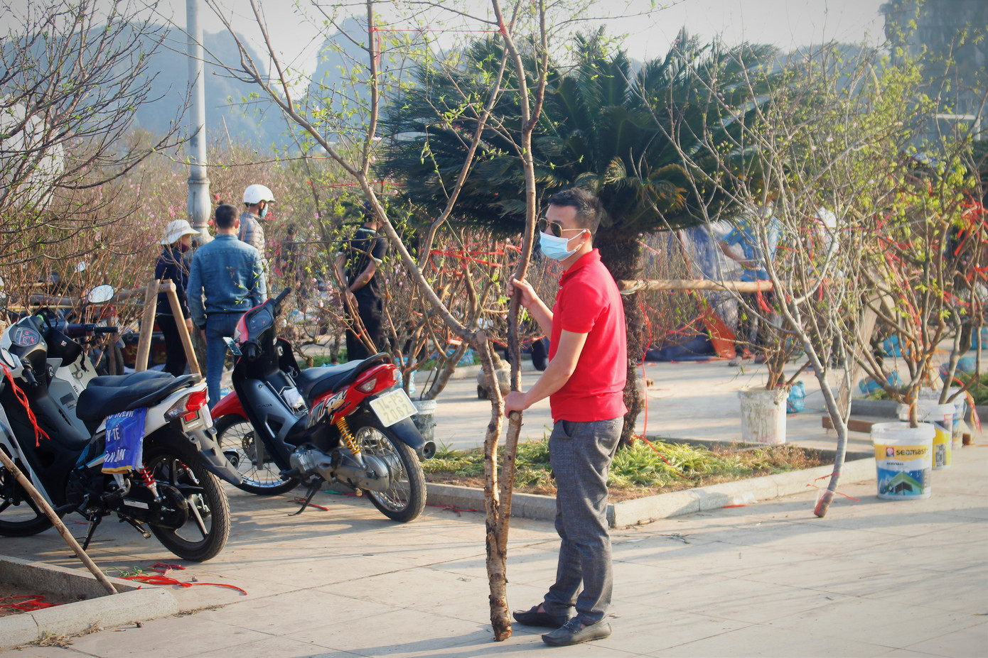 Đào quất ế ẩm, tiểu thương ở TP. Hạ Long mòn mỏi ngóng khách đến mua ảnh 8