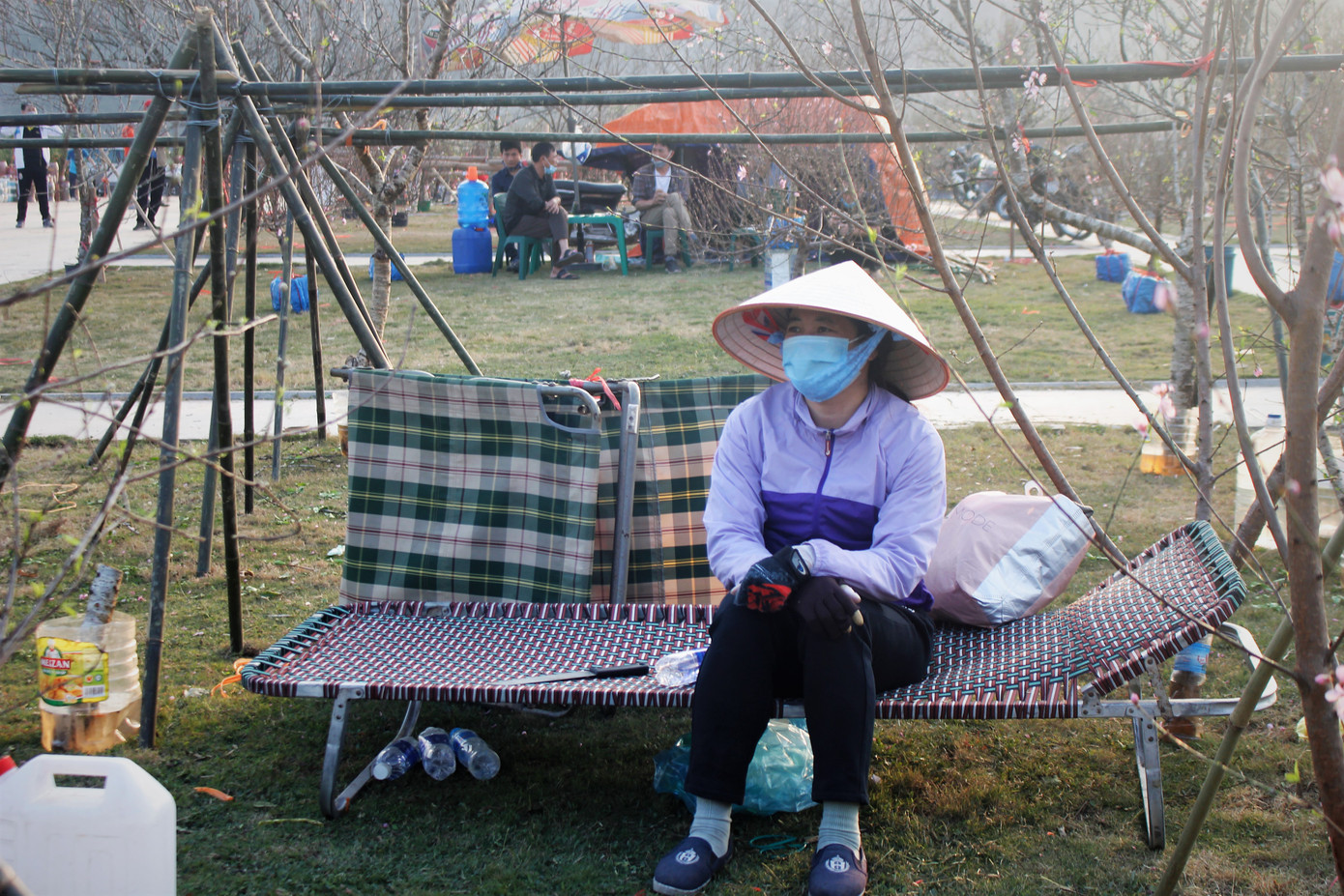 Đào quất ế ẩm, tiểu thương ở TP. Hạ Long mòn mỏi ngóng khách đến mua ảnh 3