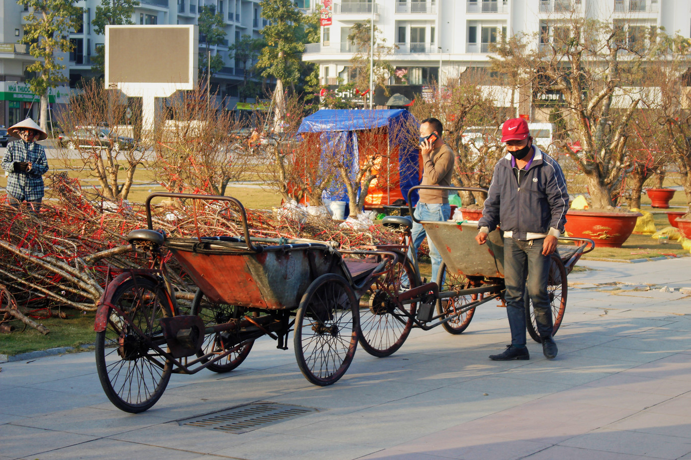 Đào quất ế ẩm, tiểu thương ở TP. Hạ Long mòn mỏi ngóng khách đến mua ảnh 9