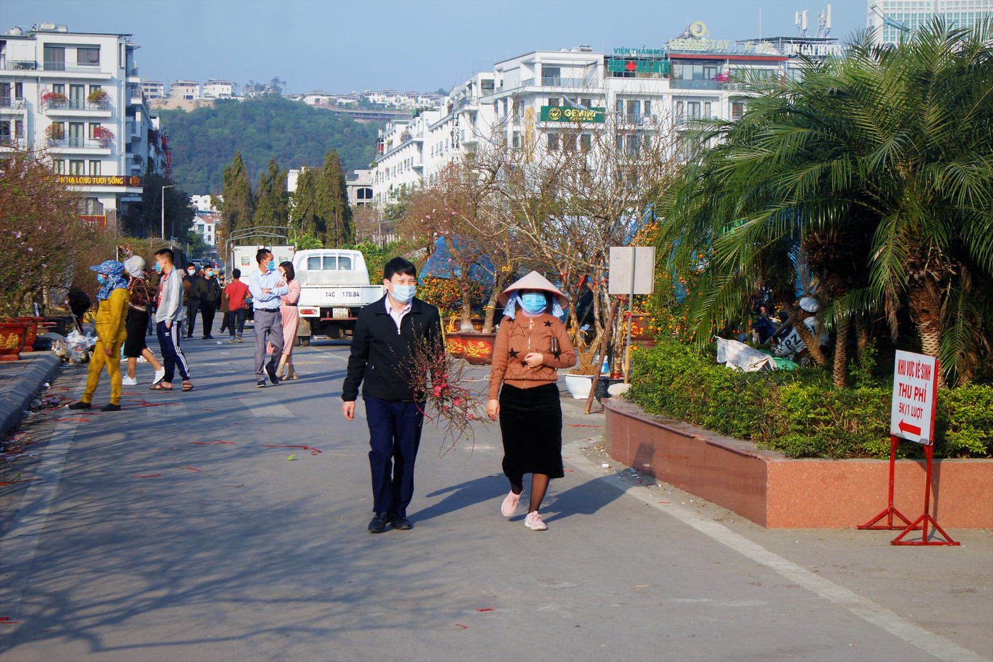 Đào quất ế ẩm, tiểu thương ở TP. Hạ Long mòn mỏi ngóng khách đến mua ảnh 6