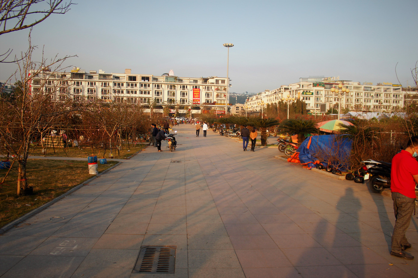 Đào quất ế ẩm, tiểu thương ở TP. Hạ Long mòn mỏi ngóng khách đến mua ảnh 10