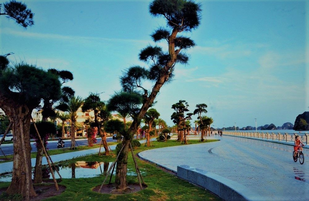 Thủ tướng dự lễ khánh thành tuyến đường bao biển đẹp nhất Quảng Ninh ảnh 7