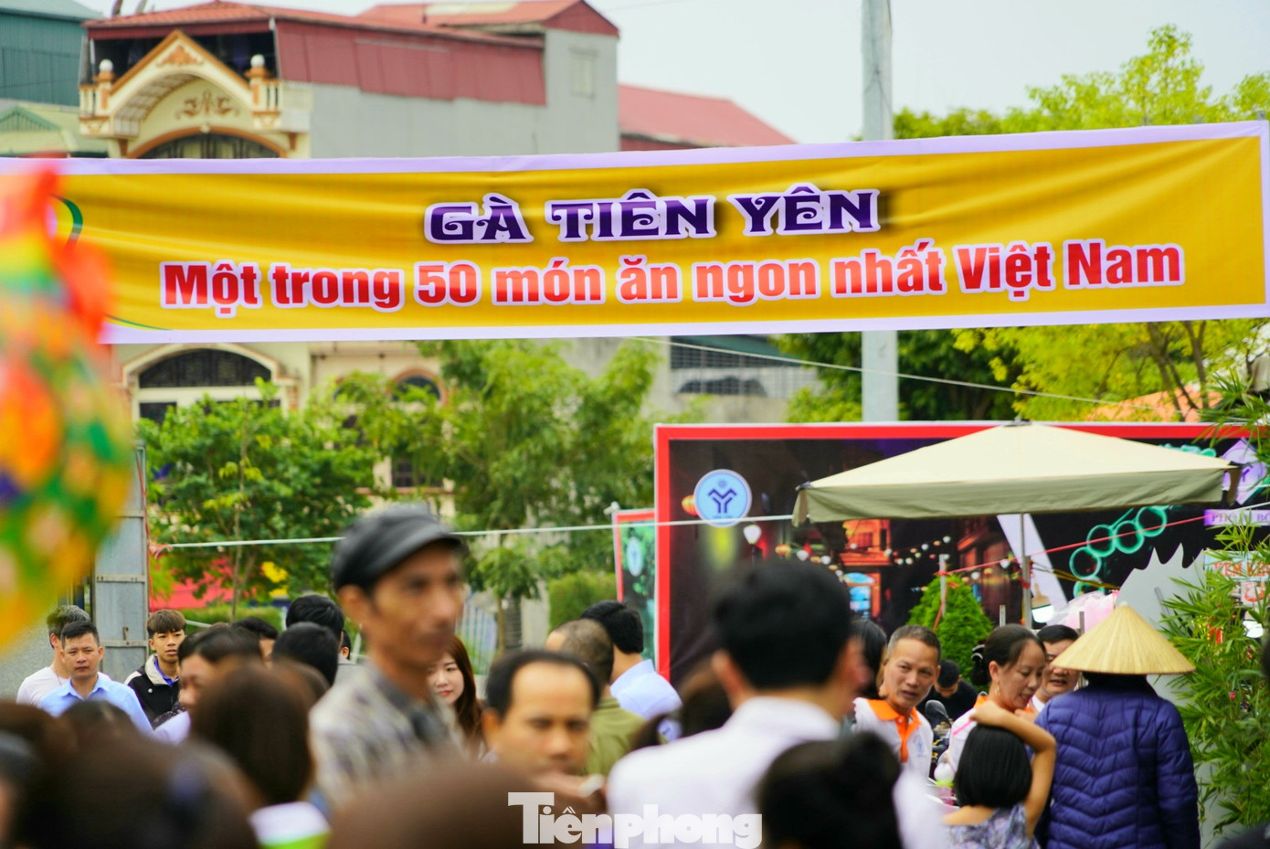 Độc đáo cuộc thi 'vua gà Tiên Yên' ảnh 12