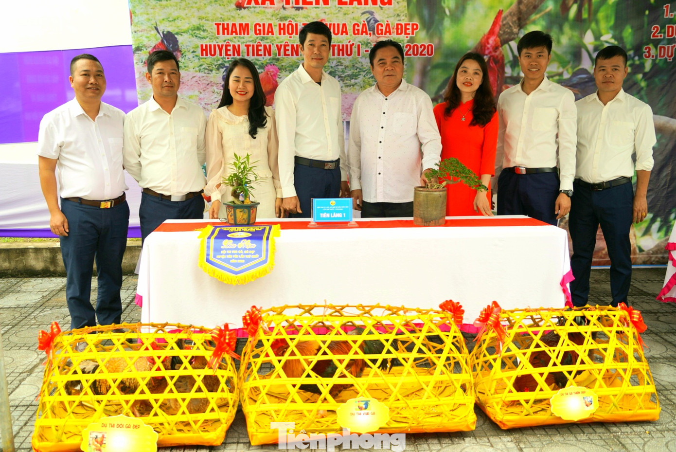 Độc đáo cuộc thi 'vua gà Tiên Yên' ảnh 14