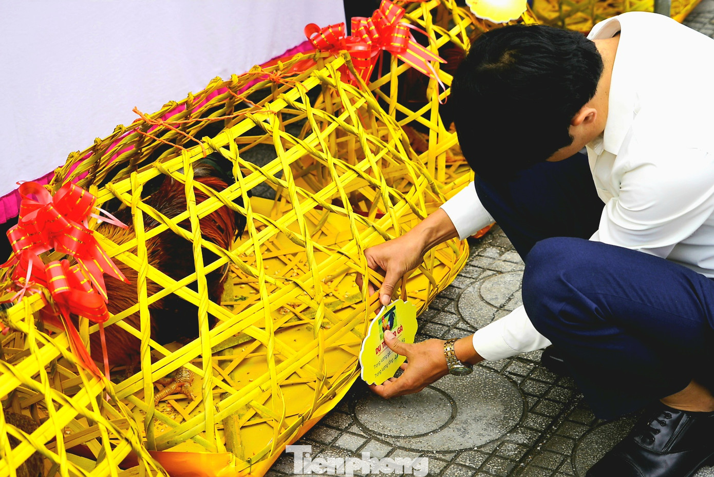 Độc đáo cuộc thi 'vua gà Tiên Yên' ảnh 11