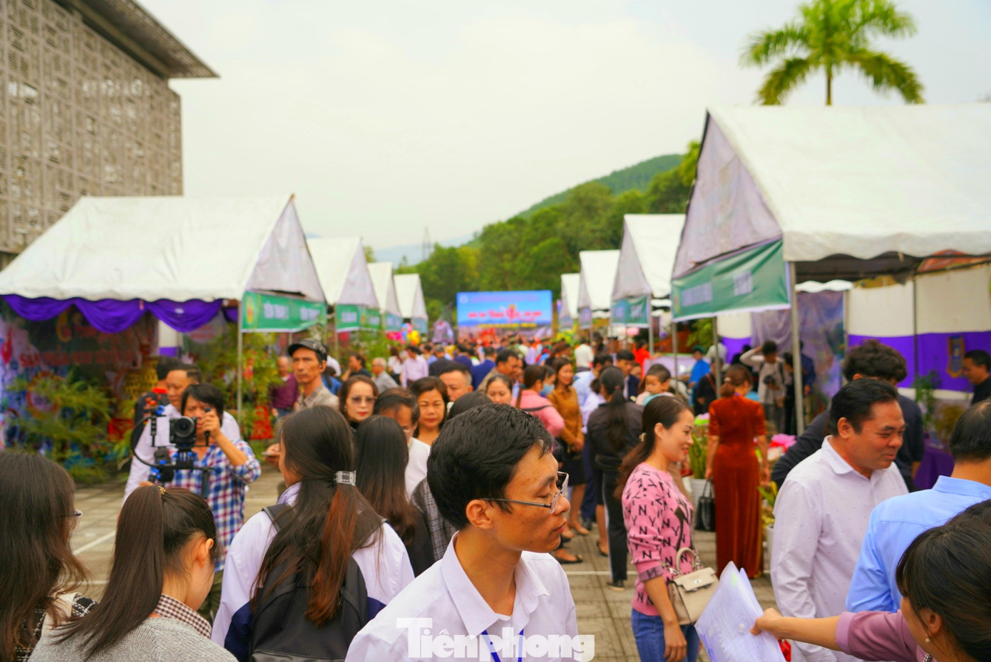 Độc đáo cuộc thi 'vua gà Tiên Yên' ảnh 7