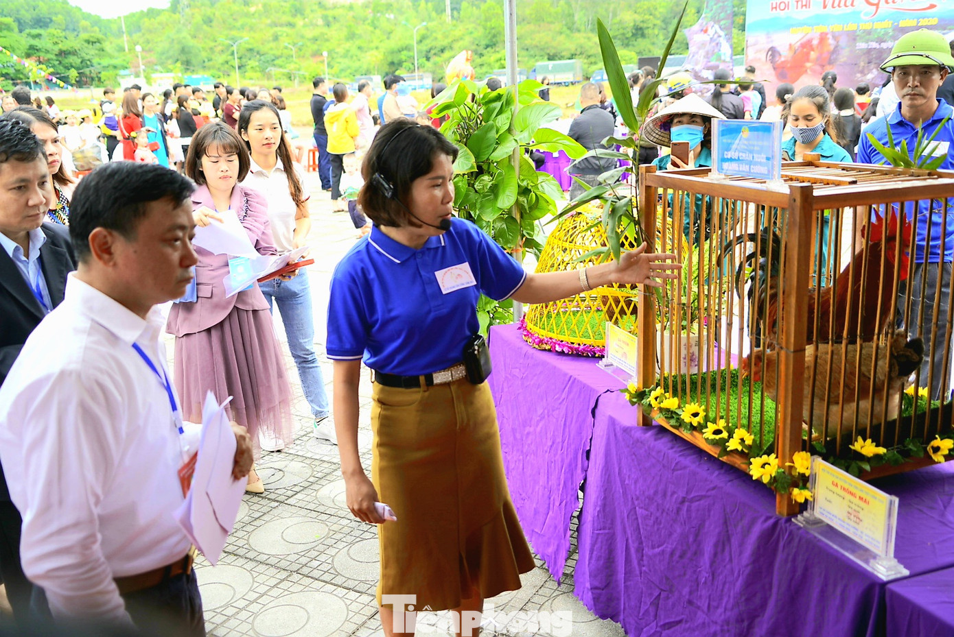 Độc đáo cuộc thi 'vua gà Tiên Yên' ảnh 9