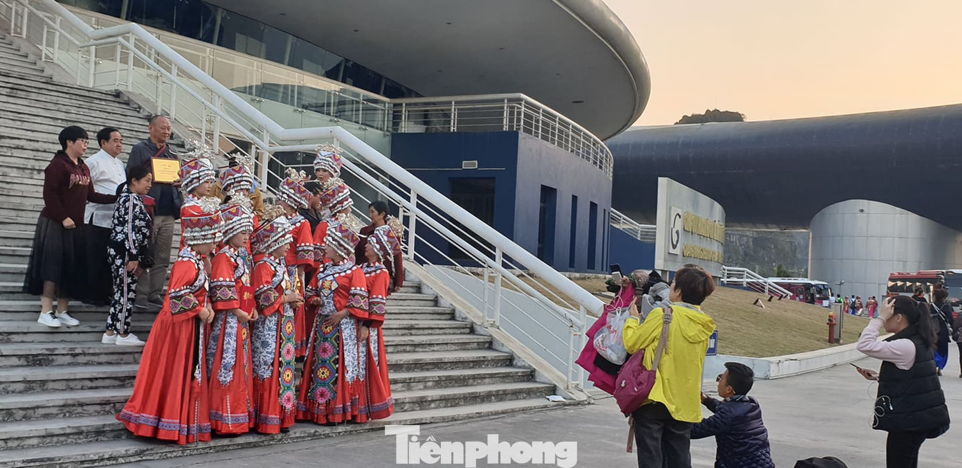 Dừng toàn bộ hoạt động văn hoá cho 600 khách Trung Quốc ở cung cá heo Quảng Ninh ảnh 4