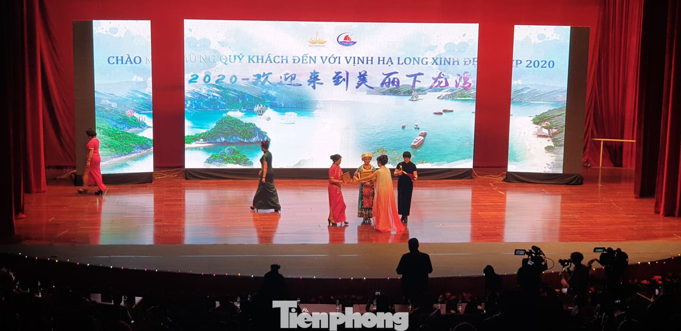 Dừng toàn bộ hoạt động văn hoá cho 600 khách Trung Quốc ở cung cá heo Quảng Ninh ảnh 2