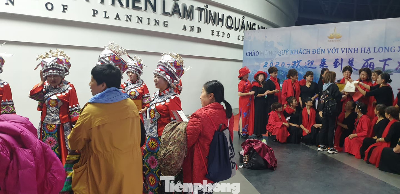 Dừng toàn bộ hoạt động văn hoá cho 600 khách Trung Quốc ở cung cá heo Quảng Ninh ảnh 7