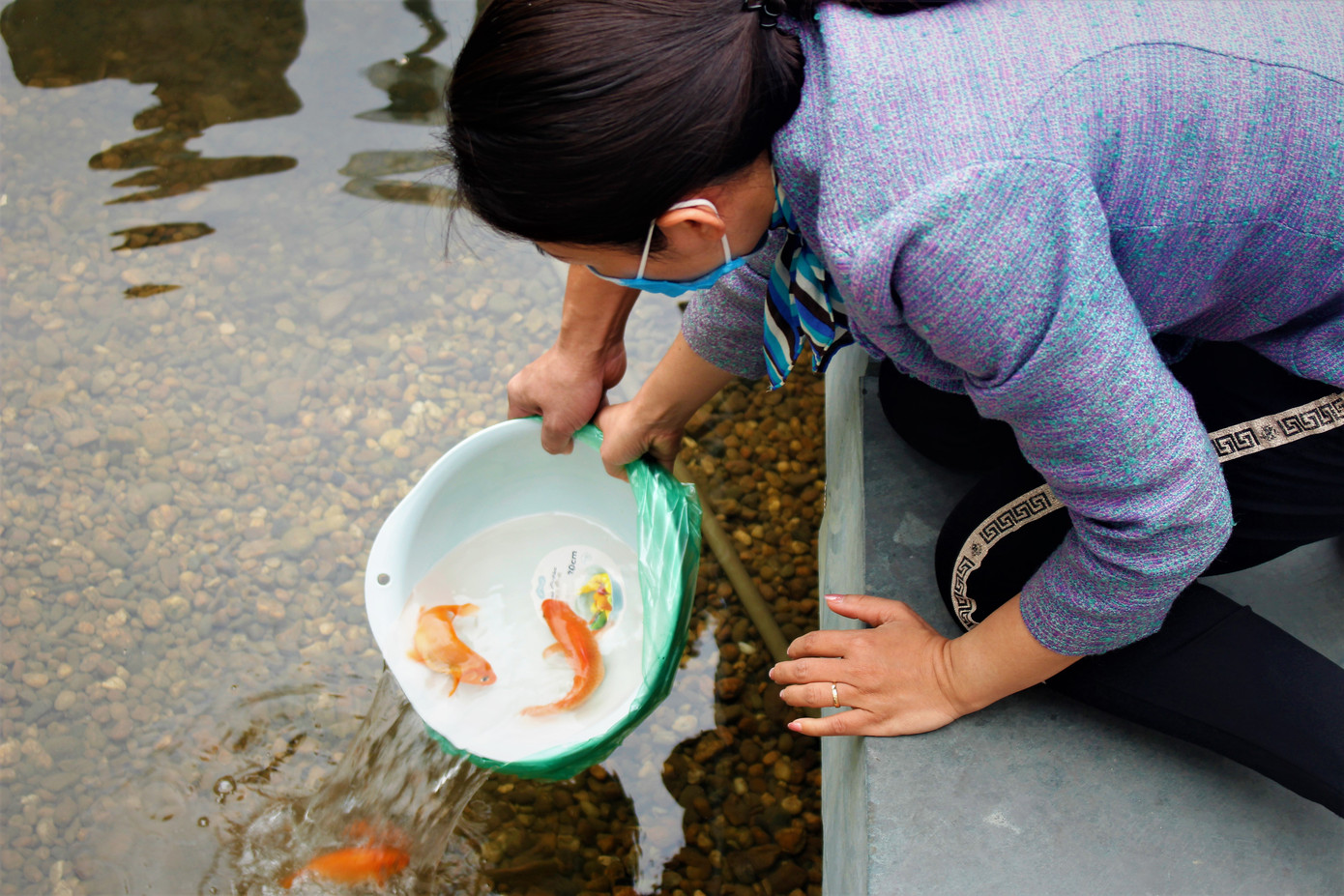 Hạ Long: Cá chép tăng giá, dân dùng cá giấy tiễn ông Táo về trời ảnh 6