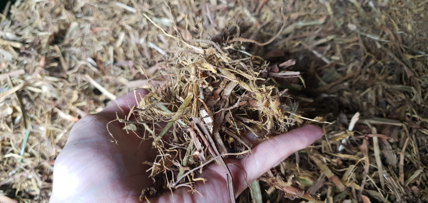 Thăm làng nghề làm hương thủ công nổi tiếng ở Hải Phòng ảnh 3