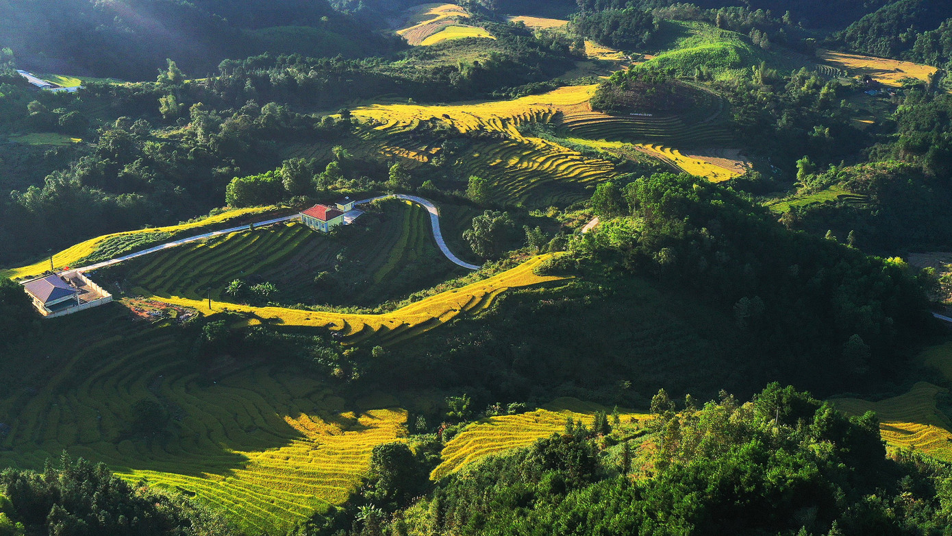 Bay trên mùa vàng Bình Liêu ảnh 6