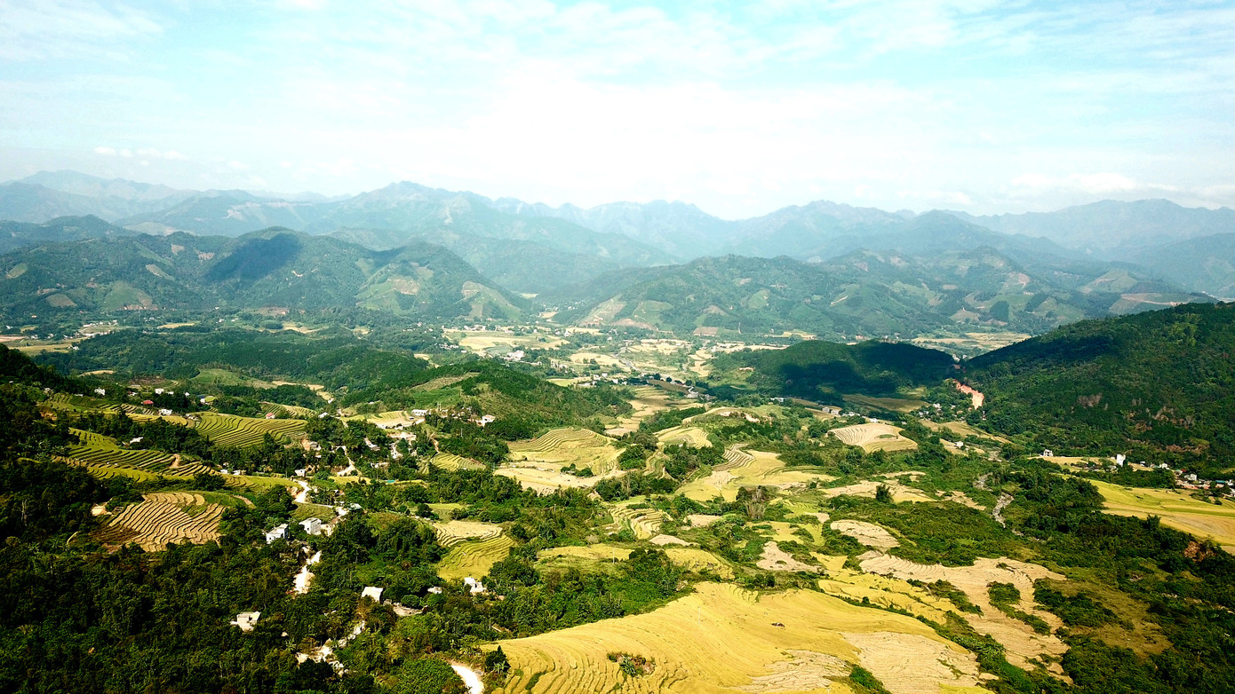 Bay trên mùa vàng Bình Liêu ảnh 2