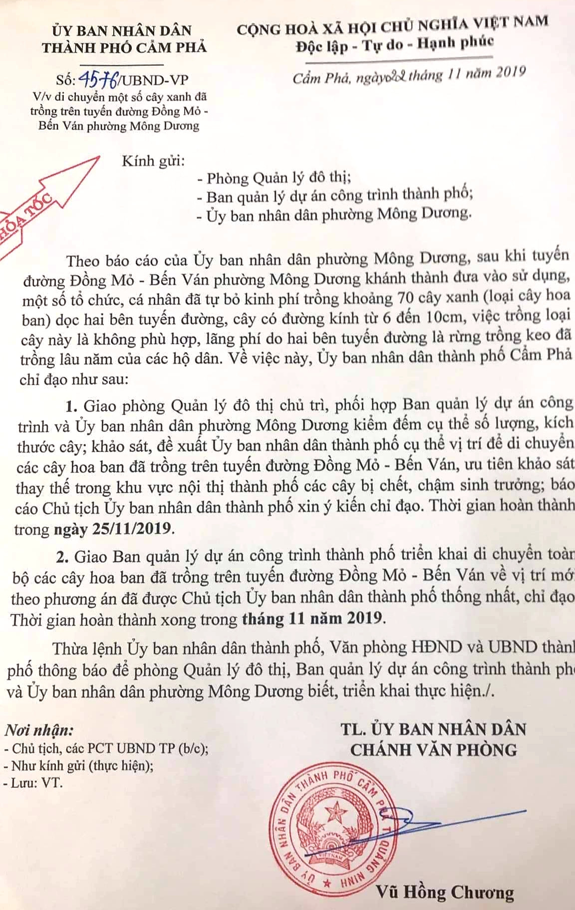 Vụ hàng cây tiền tỷ 'tự mọc': Cẩm Phả phát đi công văn hỏa tốc ảnh 2