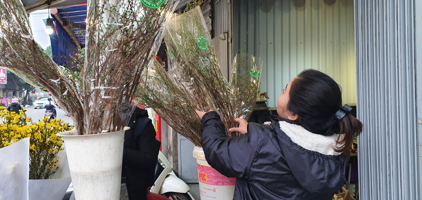 Độc đáo 'hoa nghìn nụ' được người dân đất Cảng săn đón dịp tết ảnh 3