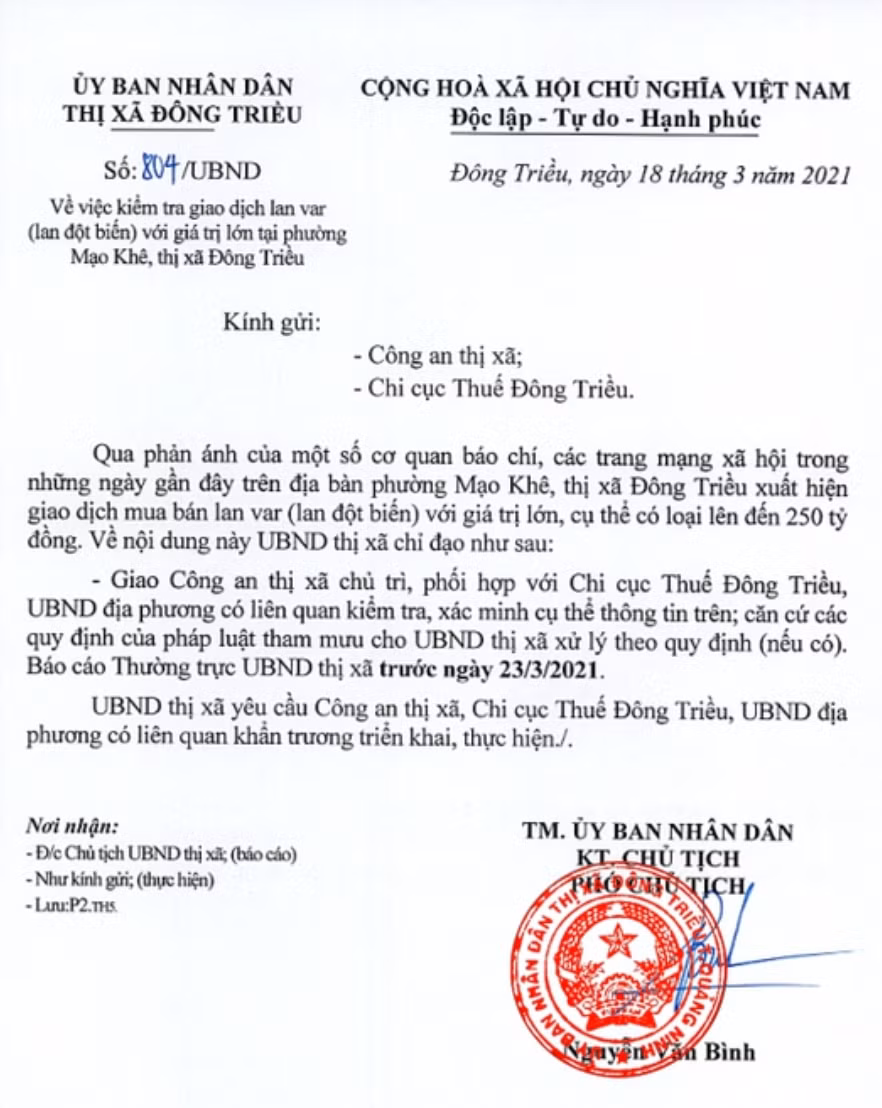 Công an vào cuộc vụ bán lan đột biến 250 tỷ đồng ở Quảng Ninh ảnh 1
