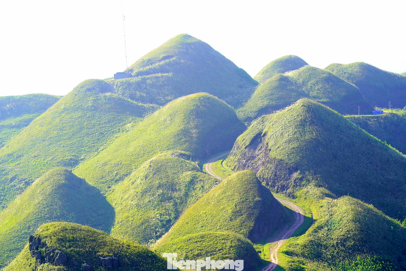 Check in 'cháy máy' mùa cỏ lau Bình Liêu đẹp ngất ngây ảnh 6