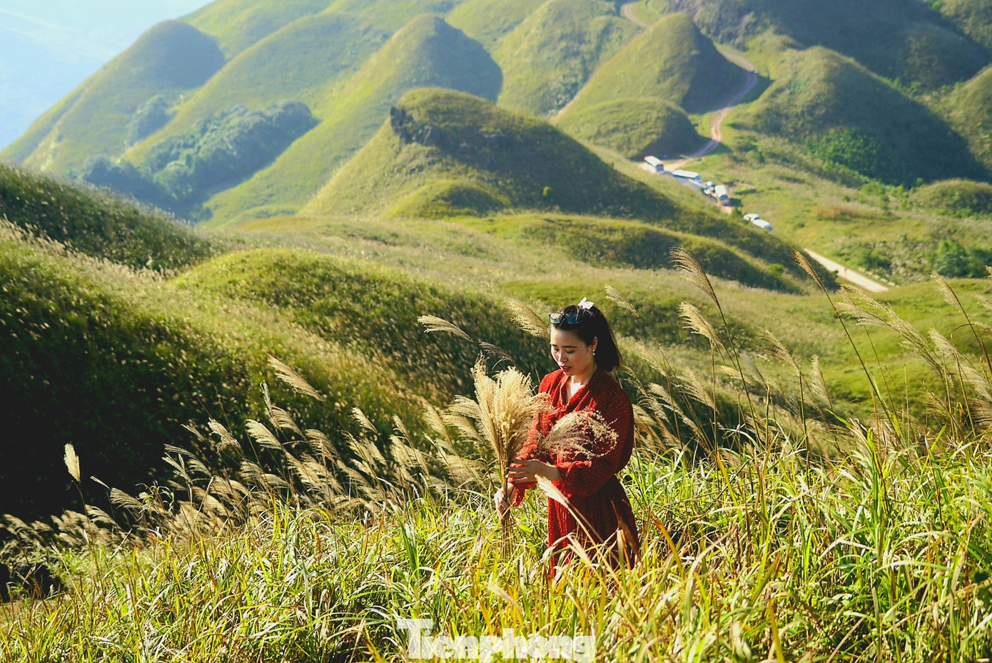 Check in 'cháy máy' mùa cỏ lau Bình Liêu đẹp ngất ngây ảnh 4