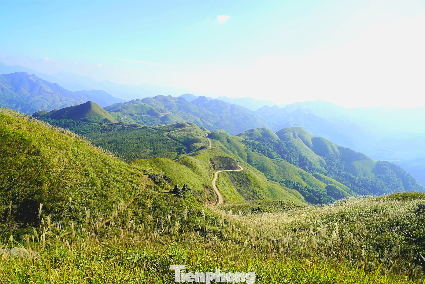 Check in 'cháy máy' mùa cỏ lau Bình Liêu đẹp ngất ngây ảnh 7