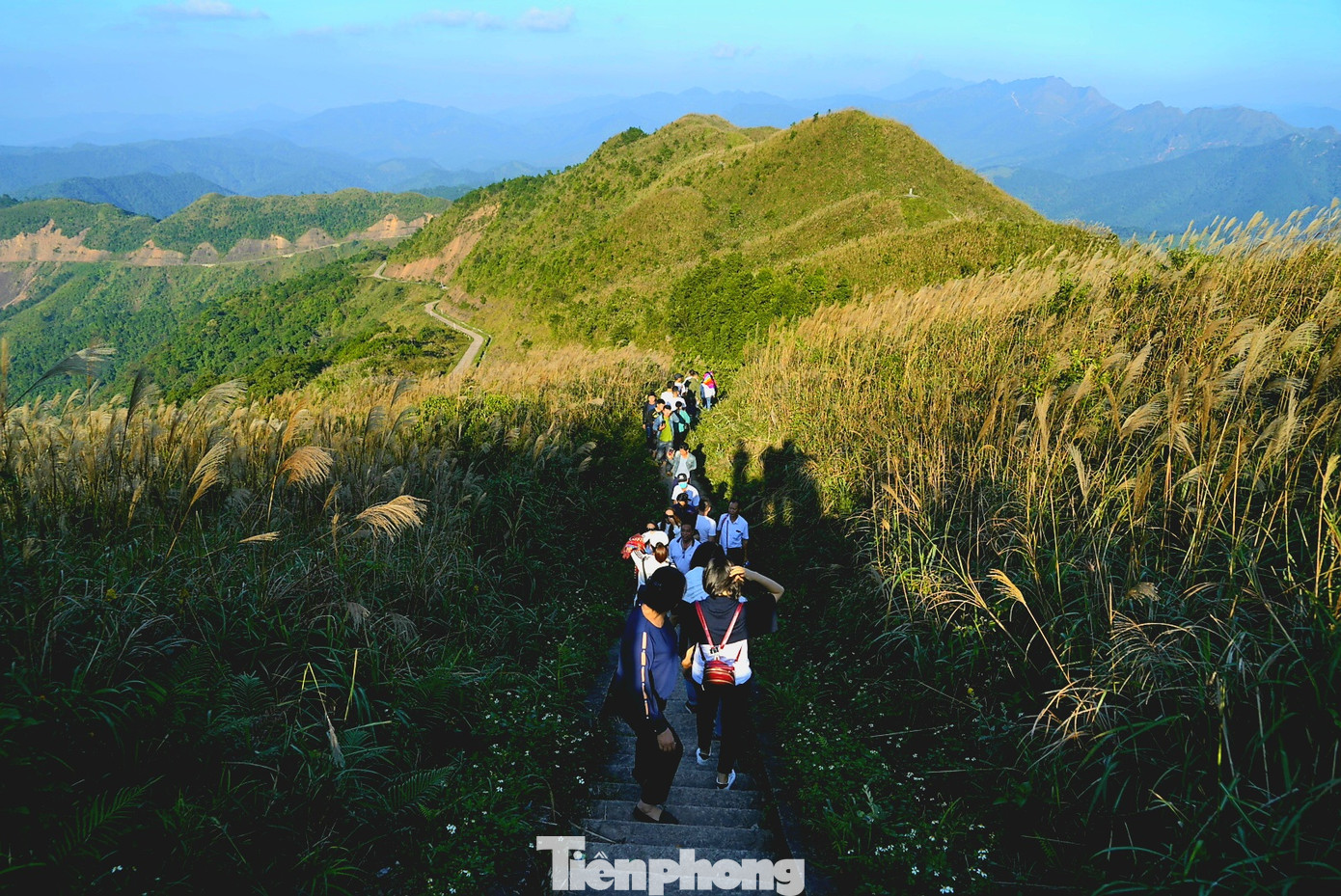 Check in 'cháy máy' mùa cỏ lau Bình Liêu đẹp ngất ngây ảnh 10